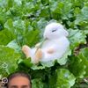 abdulkerim.omer.o