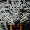 rs5.6.4