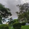 JUANZI