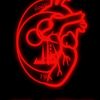 mohameb505
