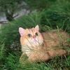 forest.the.cat3
