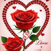 user42321770832488