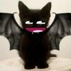 .yojan_