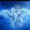 user7816234592001