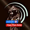 pyaephy363
