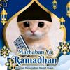 pp.kucing.ramadha330