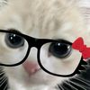 ikeulove_6