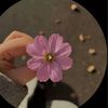 bilo_215