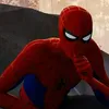 silvaxtitk