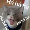 quocdungdoan5