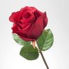 ghada.reda.shahin