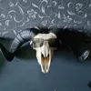 gfdkbr6660