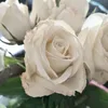 iiloveperfume