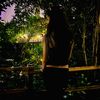 victoria.zm.spam