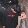 pellir73