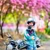 riderrakib03