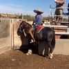 francisco.mayorga432