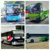 busspotingtriplec88
