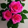 khin.san.htay03