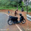 anggu0179