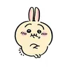 usagi.iiiiiiiiiiii