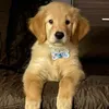 minkyu_4