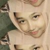 petirr011