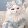 queenangel947