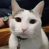 nowakeup42
