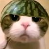 dellzz_5
