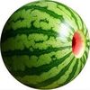 maffit1