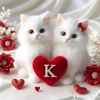 saraikigirl202123456789
