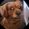 tests299