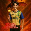 hamzakaramatcricketer786