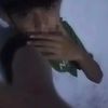yansa34