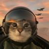 lynxss2.1