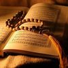 mouhamedfatma7
