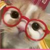 its_estef_4