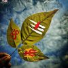 your.dhedu