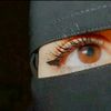 user7900626585135