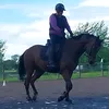 gisse7695