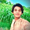 lala.shahezib