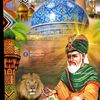 gul.hassan.abro51