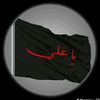 sapra055