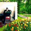 user8715349156685
