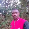 gathogo.wilson