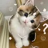 elizeya_a