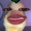kikiaw25