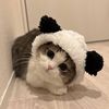 thesiiicat