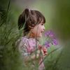 awaiskhan2381